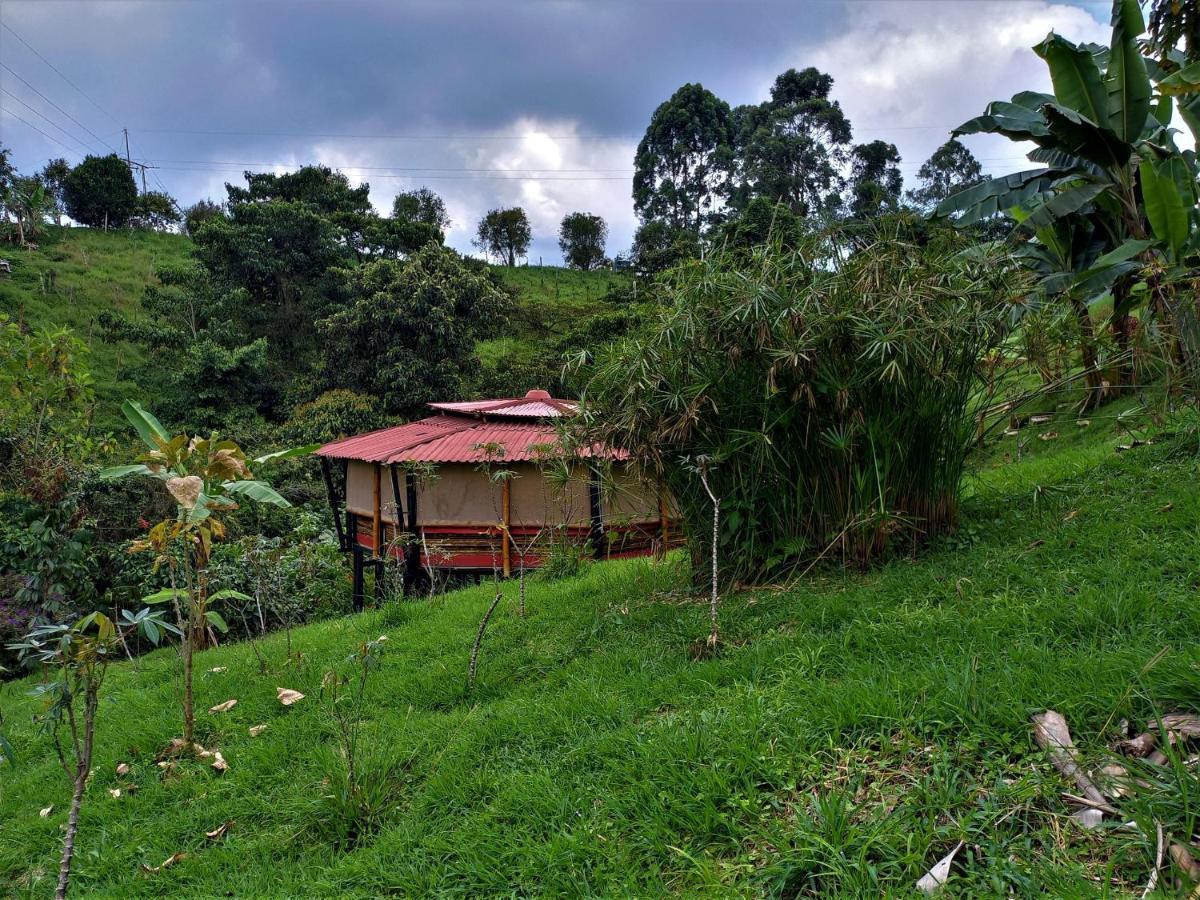 Cantaros Glamping *