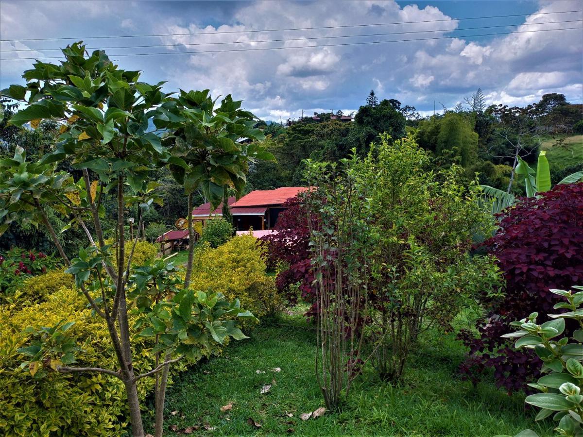 Campsite Cantaros Glamping