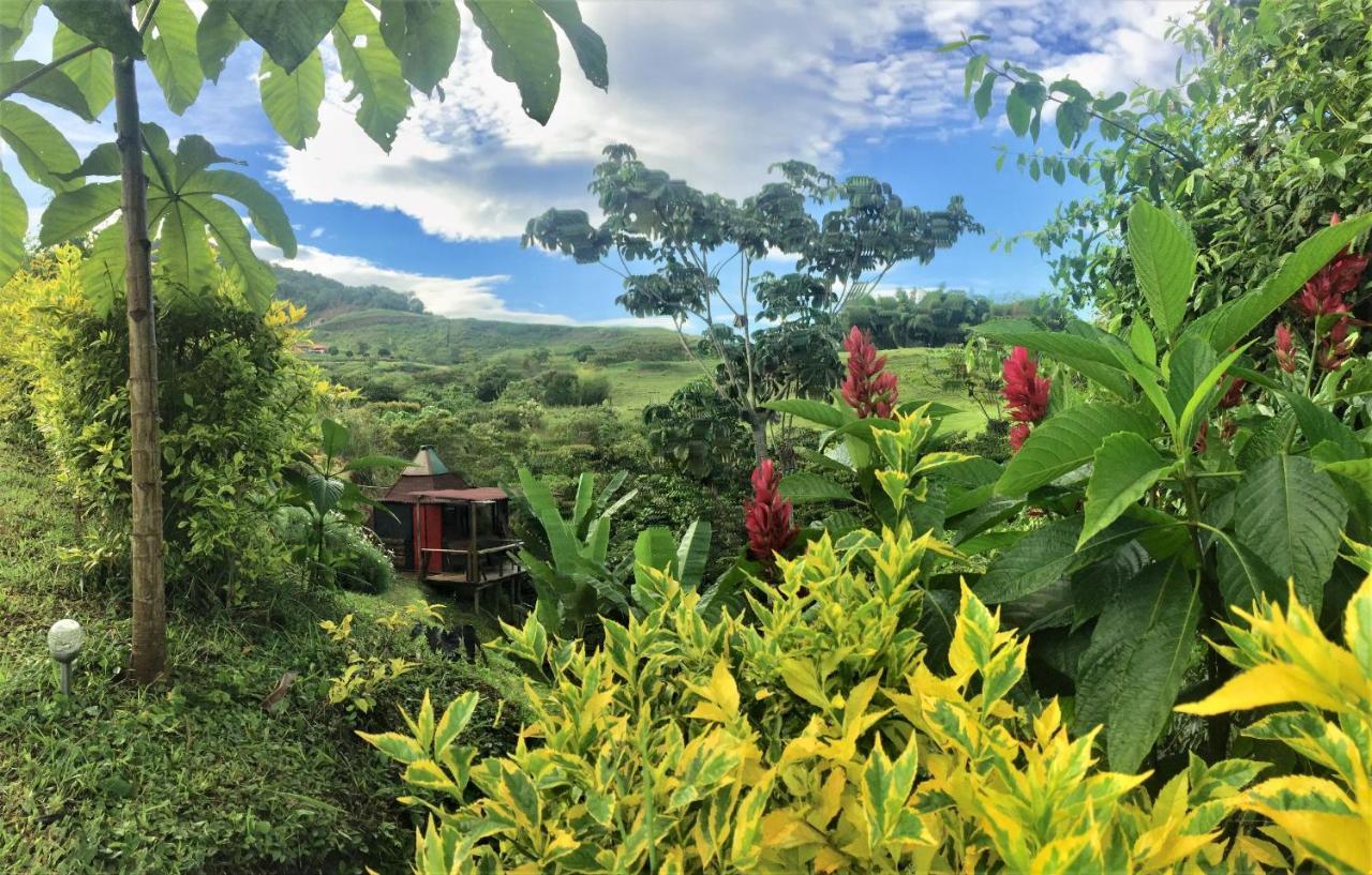Cantaros Glamping * Santa Rosa de Cabal